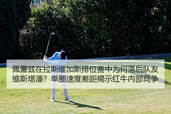 pei-lei-zi-zai-la-si-wei-jia-si-pai-wei-sai-zhong-wei-he-luo-hou-dui-you-wei-si-ta-pan-dan-quan-su-du-cha-ju-jie-shi-2-631.jpg