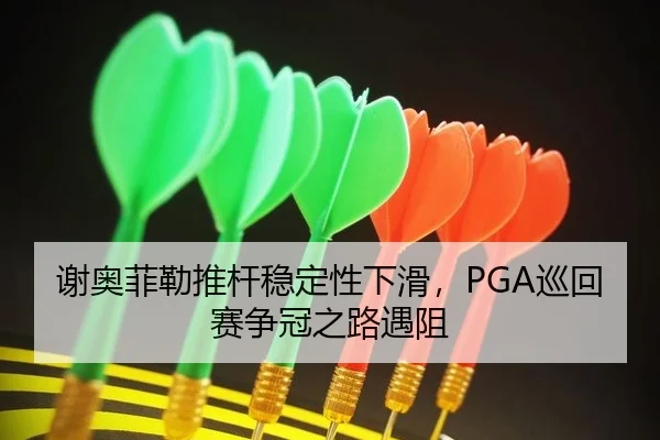 xie-ao-fei-lei-tui-gan-wen-ding-xing-xia-hua-xun-hui-sai-zheng-guan-zhi-lu-yu-zu-2-979.jpg